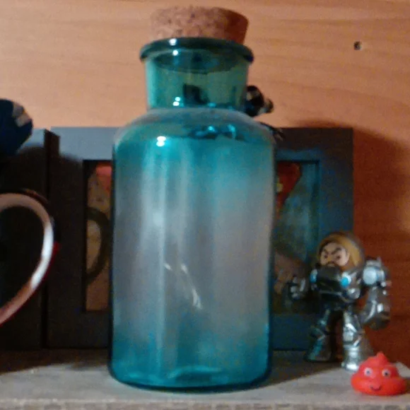 Friends Are The Flowers Of The Garden Quote Cute Light Up Blue Jar With Cork Lid - Picture 3 of 3